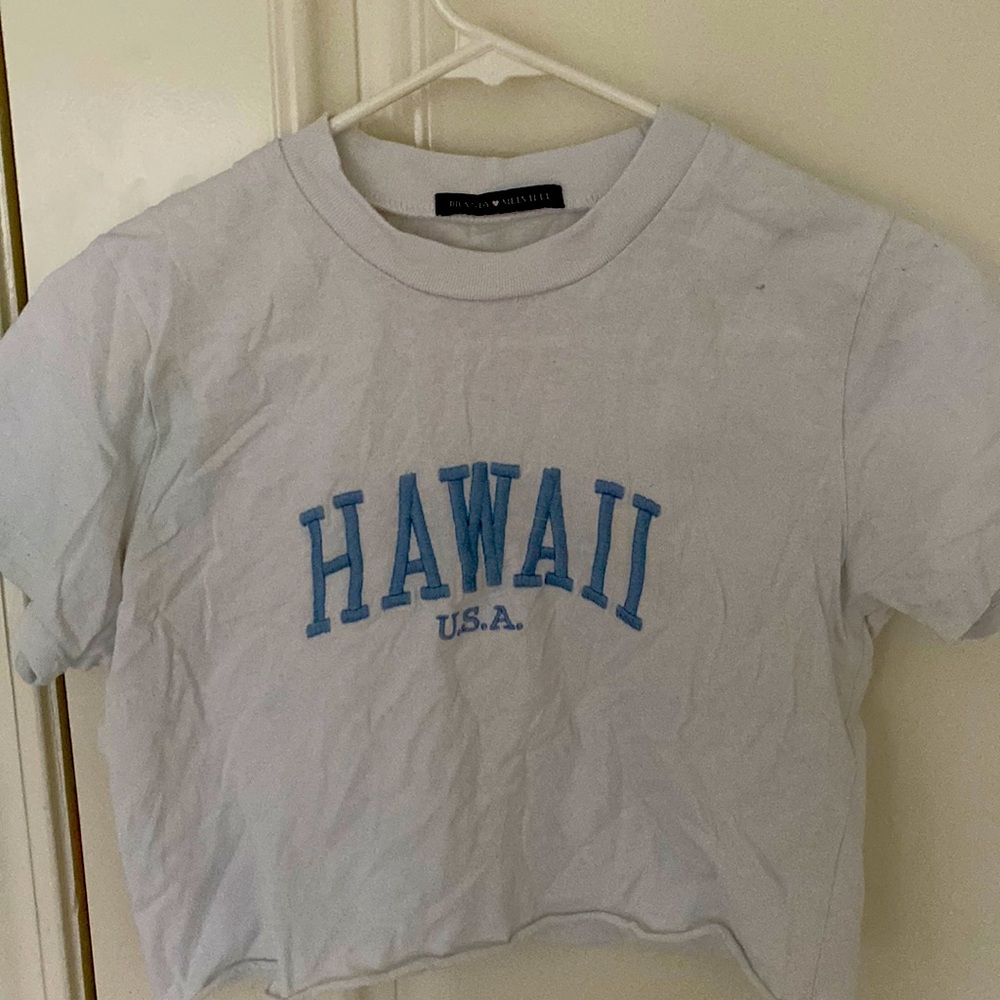 brandy melville HAWAII U.S.A cropped t shirt
